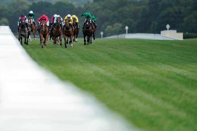 Action from the Shergar Cup at Ascot in 2019. Photo by Alan Crowhurst/Getty Images