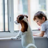 Police have issued warnings to dog owners after a child was bitten and a dog seized in the latest Doncaster attack.