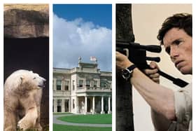 Yorkshire Wildlife Park polar bear Hamish and Brodsworth Hall featured in the finale of The Day of The Jackal, starring Eddie Redmayne.
