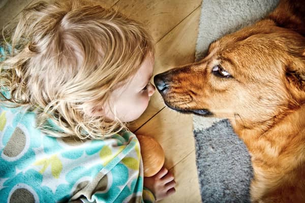 These are 10 of the most child-friendly breeds of dogs.