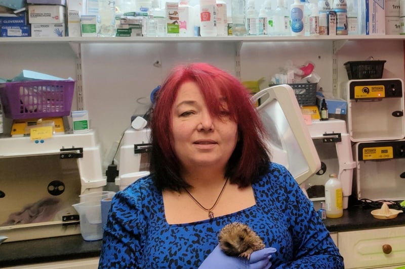 Hoggy rescue