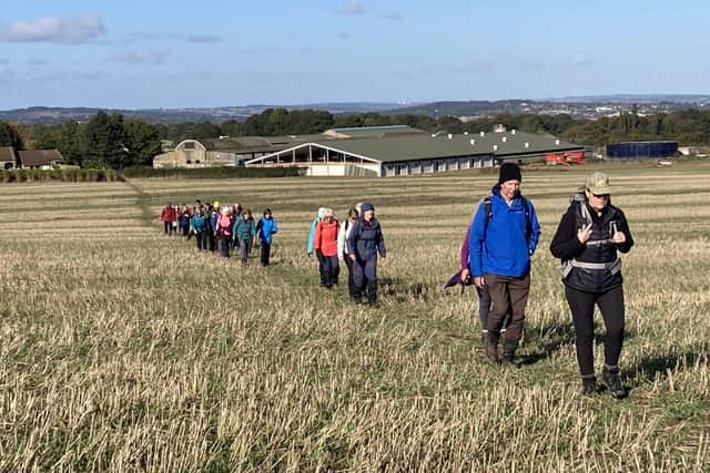 Huge fields to cross with open views ahead