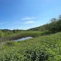 Nature recovery works to begin in Dearne Valley.