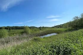 Nature recovery works to begin in Dearne Valley.