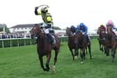 Who will emulate David Egan riding Eldar Eldarov in winning  the Cazoo St Leger Stakes at Doncaster Racecourse on September 11, 2022 in Doncaster, England. (PIcture: Eddie Keogh/Getty Images)