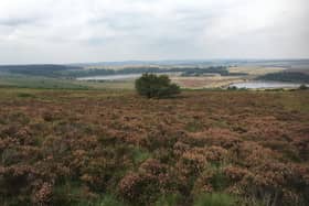 One of the stunning views