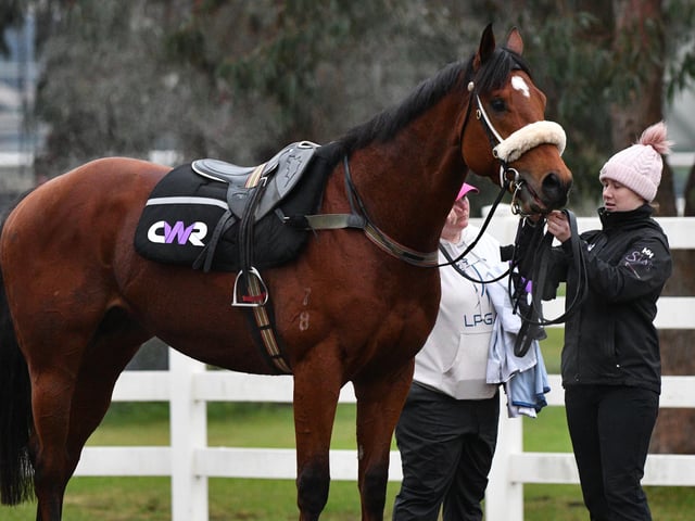 As well as Nature Strip on Tuesday, the Aussies are very much looking forward to another of their ace sprinters, Home Affairs, in Saturday's Platinum Jubilee Stakes. He's only three, but trainer Chris Waller, who saddled the amazing mare Winx to a world-record 28 Group One wins between 2014 and 2019, raves about his ability and potential. (PHOTO BY: Vince Caligiuri/Getty Images).