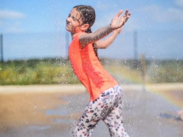 Sandpit and Splash Zone fun at Tropical Butterfly House
