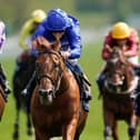 Hurricane Lane (centre), our expert's fancy for the Derby, wins the Dante Stakes at York last month. (PHOTO BY: Alan Crowhurst/Getty Images).