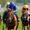 Hurricane Lane (centre), our expert's fancy for the Derby, wins the Dante Stakes at York last month. (PHOTO BY: Alan Crowhurst/Getty Images).