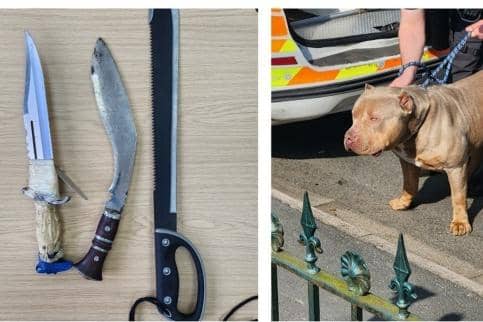 Drugs, weapons, cash and an illegal XL Bully dog found during warrant at a Doncaster house.