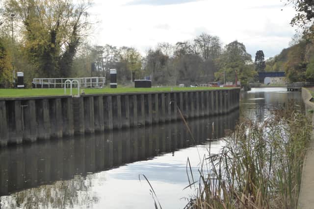 Enjoy a walk along the River Don, thanks to Doncaster Ramblers