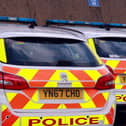 A man has been remanded in custody charged with dangerous driving after crashing into police.