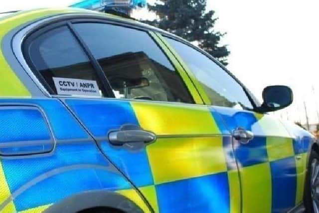Sheffield Crown Court heard how a booze-fuelled driver without a licence and insurance sparked a high-speed police chase and killed a cat.