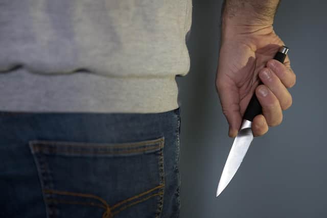 Anti-knife crime charity the Ben Kinsella Trust said further investment in the court system is needed to help it keep up with rising knife crime