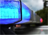 Two horses have died and a driver was injured in an early morning crash.
