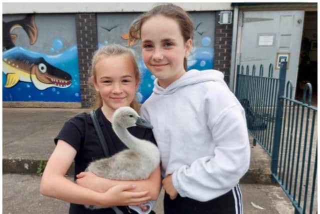 Lucy and Madison leapt into action to rescue an injured cygnet. (Photo: Laura Waude/Askern Town Council).