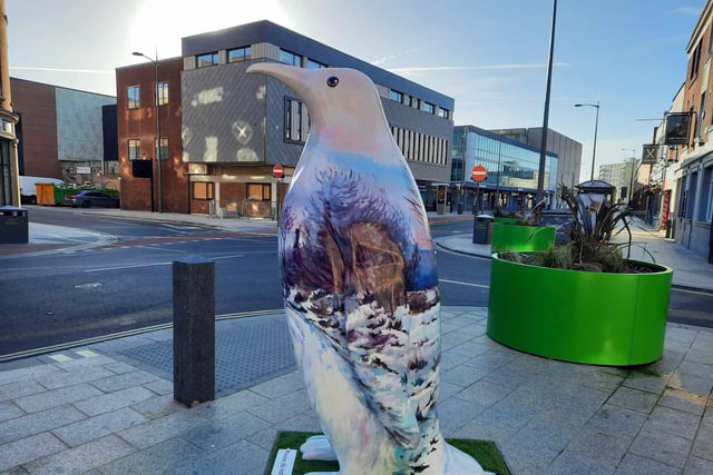 The penguins have been scattered across Doncaster city centre.
