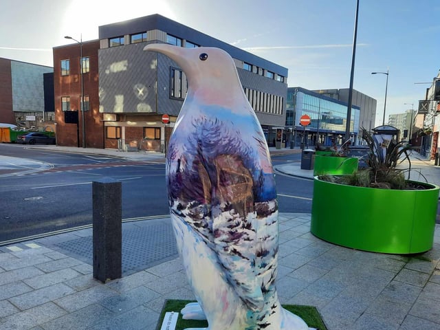 The penguins have been scattered across Doncaster city centre.