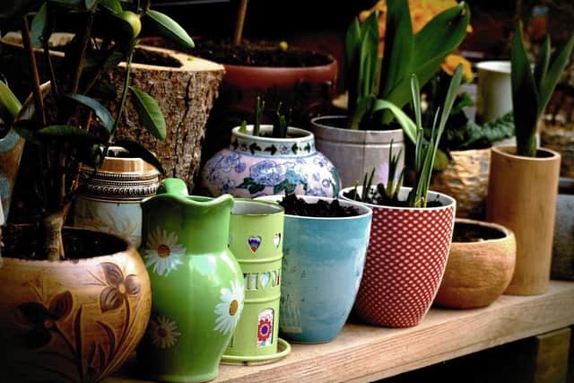 Get creative and reuse old pots