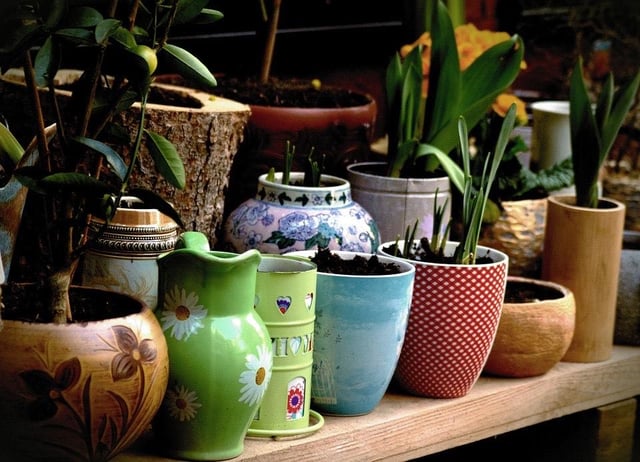 Get creative and reuse old pots