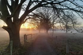 This picture was sent to us via email by Kaelen Turner and taken in Auckley on a cycle/walking route near the Hayfield Lakes. If you would like to see your photo in print or on the website then please email it, along with your name, age (if under 18 – and please get an adult’s permission), and address to editorial@doncastertoday.co.uk