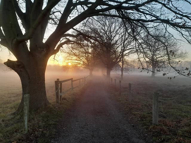 This picture was sent to us via email by Kaelen Turner and taken in Auckley on a cycle/walking route near the Hayfield Lakes. If you would like to see your photo in print or on the website then please email it, along with your name, age (if under 18 – and please get an adult’s permission), and address to editorial@doncastertoday.co.uk