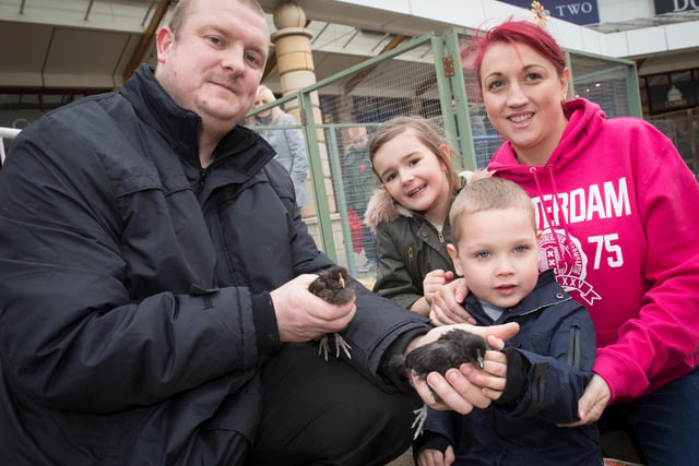 Chris Potter showing Easter chicks to Kelsey Lazenby, Connor Ramsden and Bianca Fryer in 2016
