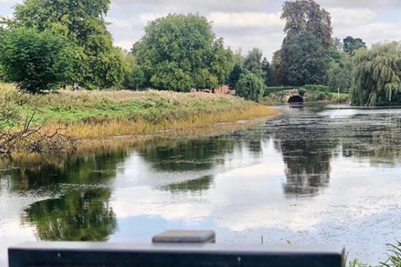 A view of the pond at Cusworth Hall by @st_bernard_of_doncaster_