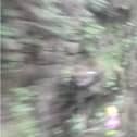 You can just about make out several gnomes in this photo taken on the way into Sheffield railway station.