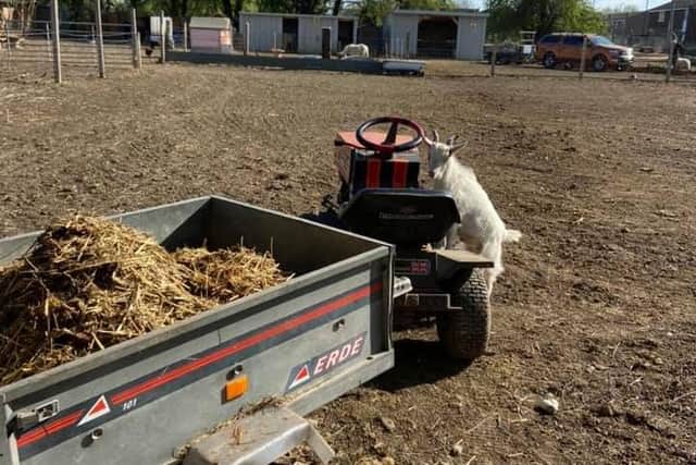 Bosses at Manor Estate Farm have launched a plea for help after its tractor broke down.
