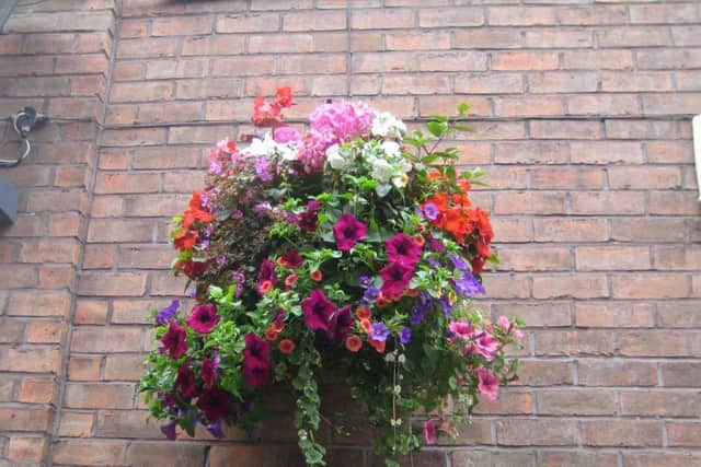 A hanging basket similar to the ones stolen in Doncaster.