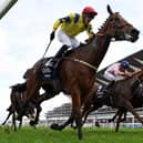 Jockey Sam James (L) reacts as he rides Poptronic to victory in the British Champions Fillies and Mares Stakes on Qipco British Champions Day at Ascot Racecourse, west of London on October 21, 2023. Champions day is the finale of the British flat racing season and the UK's richest raceday. (Photo by Glyn KIRK / AFP) (Photo by GLYN KIRK/AFP via Getty Images)