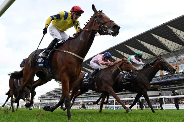 Jockey Sam James (L) reacts as he rides Poptronic to victory in the British Champions Fillies and Mares Stakes on Qipco British Champions Day at Ascot Racecourse, west of London on October 21, 2023. Champions day is the finale of the British flat racing season and the UK's richest raceday. (Photo by Glyn KIRK / AFP) (Photo by GLYN KIRK/AFP via Getty Images)