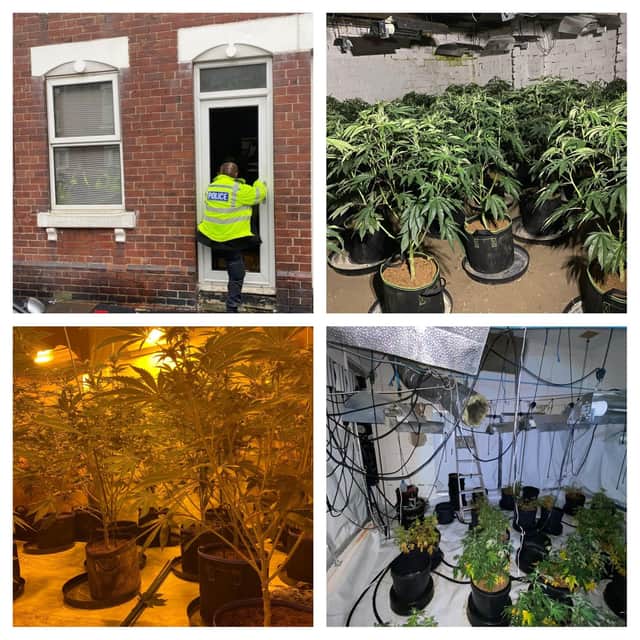 Police raid a cannabis farm during Operation Duxford