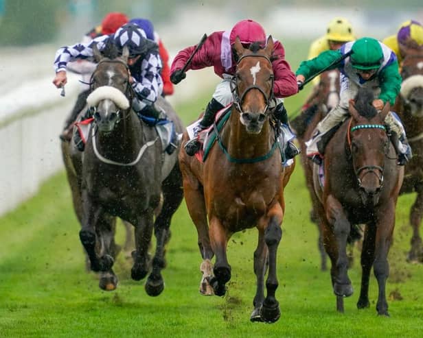 Safe Voyage, centre. Photo: Alan Crowhurst/Getty Images