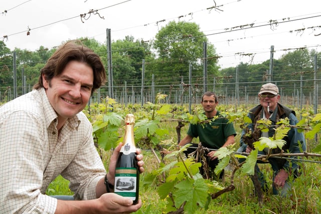 Renishaw Hall vineyard manager Kieron Atkinson with the Renishaw Hall sparkling white wine. amd workers James Hines and Ray Marples (right) who planted the vines some forty plus years ago pictured back in 2012