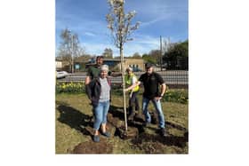 Maltby CIC tree planting.