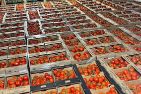 K D Davis and Sons has hundreds of tomatoes for sale. (Photo: KD Davis and Sons/Facebook).