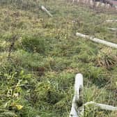 Newly planted trees have been wrecked by vandals in Doncaster.