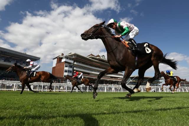 Action from Newbury. Photo: Ryan Pierse/Getty Images