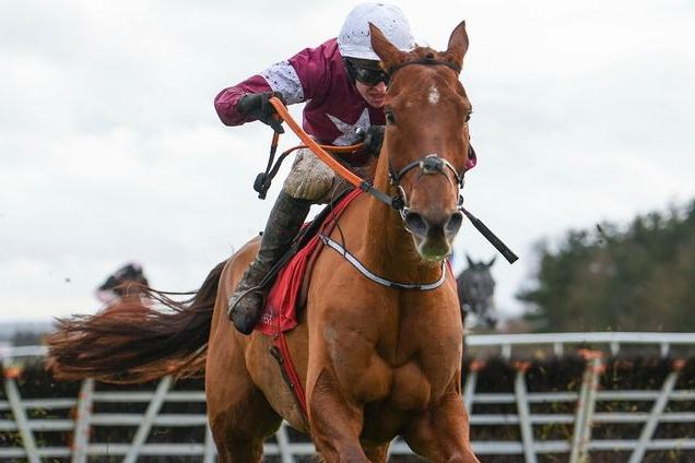In trainer Gordon Elliott and owners, Gigginstown House Stud, this 10yo carries the hopes of illustrious connections. But their prowess is not matched by the gelding's form, which has nosedived alarmingly since the spring of 2022 when he took heavy falls in both the Aintree National and the Irish equivalent. Has not won a race now for 30 months.