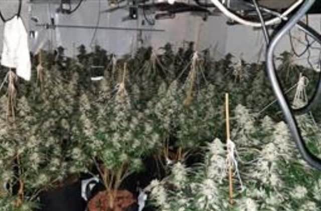 Police raided a house on Mutual Street, Hexthorpe, Doncaster. Picture: South Yorkshire Police