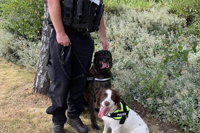 PC Terry Davidson. Terry is handler to General Purpose Dog (GPD) Benson. and Cash, Drug and Weapons Dog PD Taffy