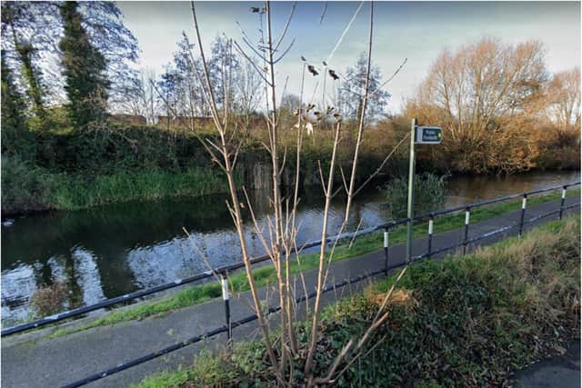 The woman was attacked alongside the canal between Swinton and Mexborough.