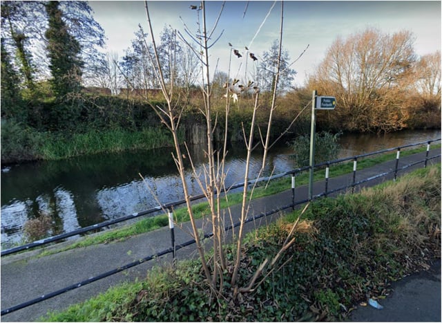 The woman was attacked alongside the canal between Swinton and Mexborough.