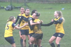 Doncaster Rovers Belles are hoping to summon plenty of spirit as they look to beat the drop.