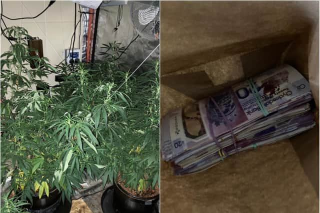 Police found cannabis and bundles of cash at the home in Bentley.