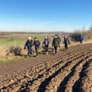 Rambling from field to field