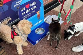 The new dog watering stations are available to keep furry friends hydrated when they are on the go